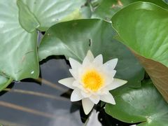 -金银湖国家城市湿地公园
