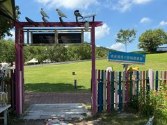 -上海佘山世茂艾美酒店