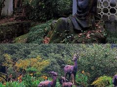 -杭州植物园