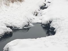 -钏路市丹顶鹤自然公园