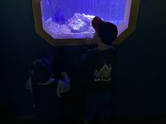 -北戴河圣蓝海洋公园