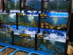 -老东镇啤酒屋海鲜加工·蒸汽海鲜·海鲜烧烤(台东店)