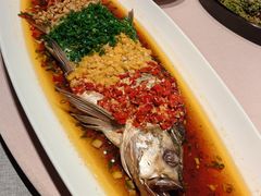 乌苏里江大白鱼-奉天小馆·非遗东北菜(沈阳万象城店)