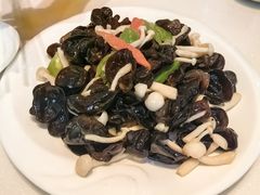 -海洁灌汤包(南五马路店)