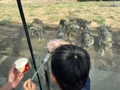 -鄂尔多斯野生动物园