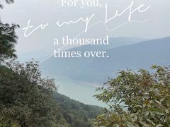 -铁山坪森林公园
