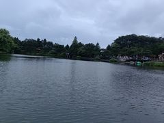 -庐山风景区花径公园