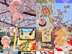 -高东镇樱花园