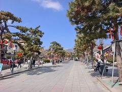 -泰山风景名胜区-虎山公园