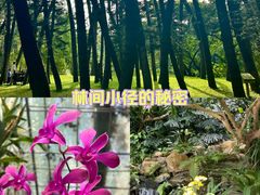 -华南国家植物园-售票处