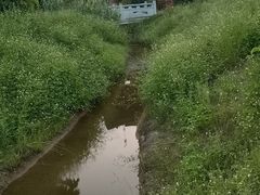 -南华禅寺