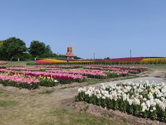 -杭州湾海上花田景区