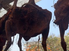 -土灶人家柴火鸡(都江堰店)