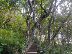 -白草畔自然风景区