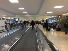 -约翰·菲茨杰拉德·肯尼迪国际机场