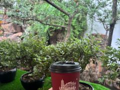 -龙华素斋(龙华路店)