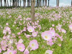 -海宁大尖山滑翔伞运动基地