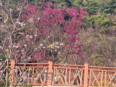 -小南山公园