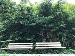 -贵阳市花溪国家城市湿地公园