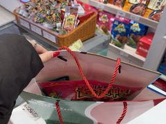 -舜华临武鸭·湖南零食特产(三王街店)