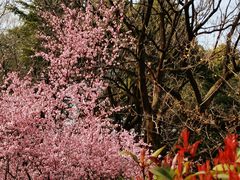 -白塘生态植物园