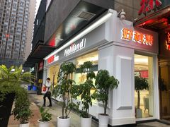-蒲公英(五里店)