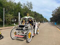 -南戴河国际娱乐中心