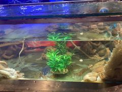 -V-ONE西雅图海鲜自助餐厅(仓山万达广场店)