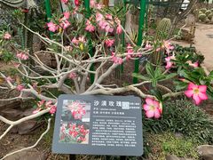 -北京植物园-展览温室