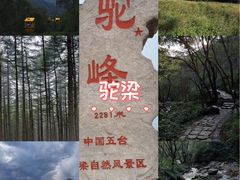 -驼梁风景区