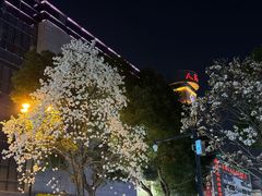 -苏州人民商场