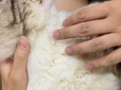 -白兔子密室(长寿路店)