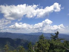 -牛背梁国家森林公园