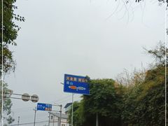-南山植物园