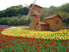 -苏州上方山国家森林公园