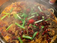 老板恋上鱼-老板恋上鱼(高新万达店)