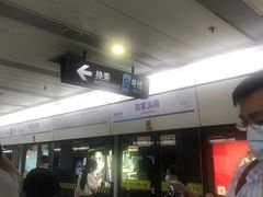-陆家浜路(地铁站)