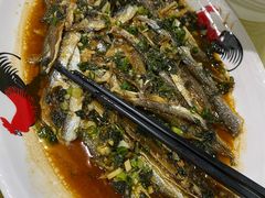 -东胜客河鲜店·西江河鲜·老字號渔家菜