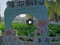 -莲花池公园