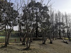 -黄兴公园
