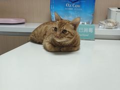 -谐和贝康宠物医院24小时·宠保定点(急重症转诊中心)