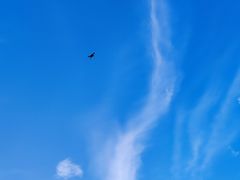 -尊宝比萨(厦大店)