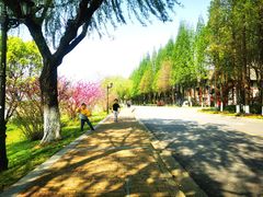-太阳岛旅游度假区