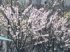 -宁波儿童公园(鄞州区)
