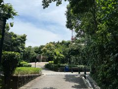 -东望洋炮台东望洋灯塔
