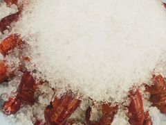 -指爱龙虾(金杨路总店)