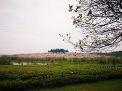 -凤凰沟景区