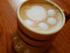 -more than meow吴止猫主题餐厅(承德 中船汇店)