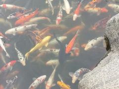 android_upload_pic-中国唐苑