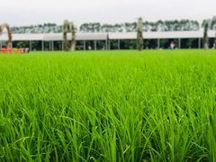 -迪茵湖田家舍生态农场